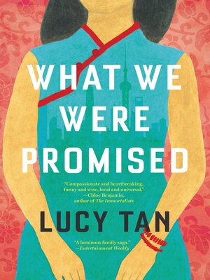 What We Were Promised - ebook